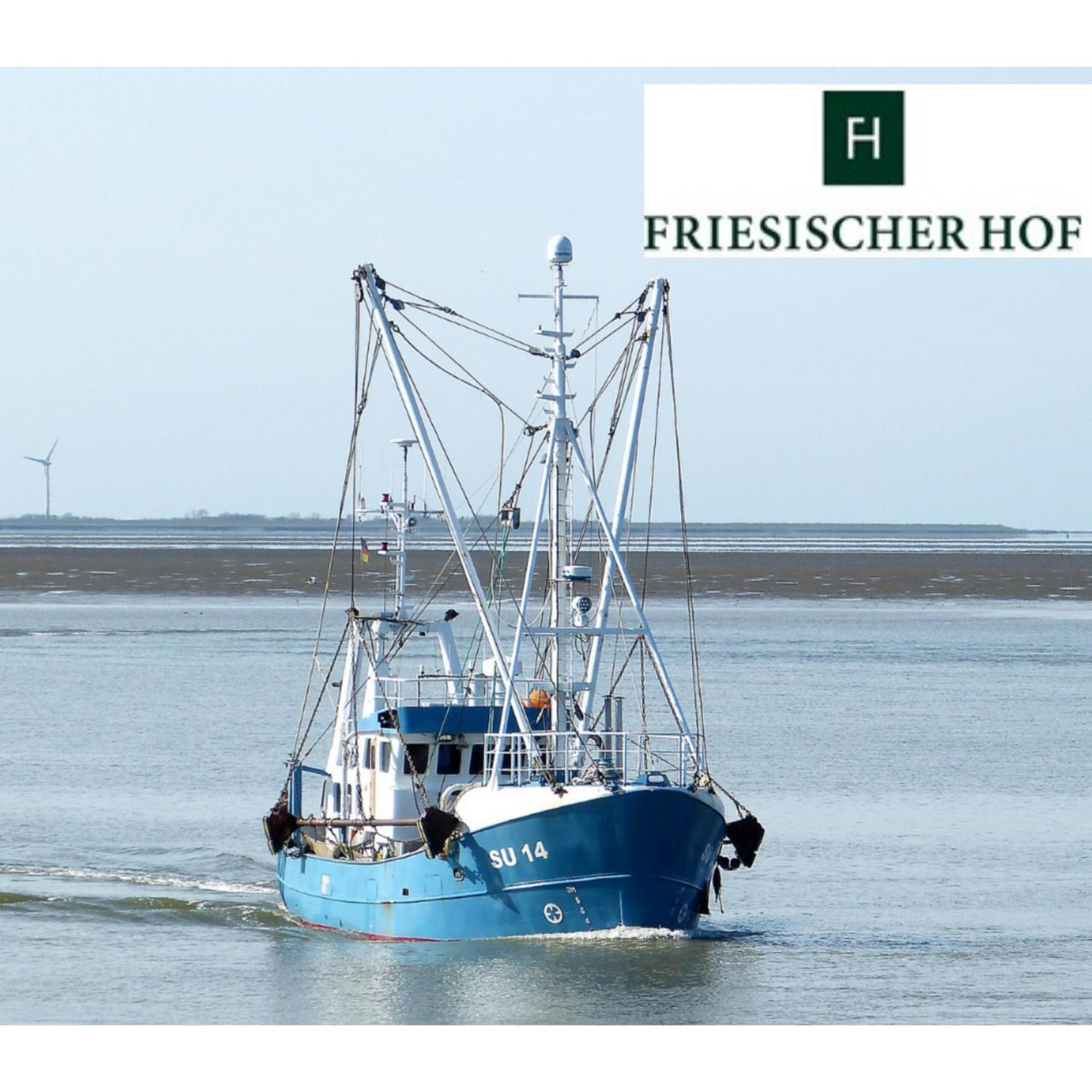 Friesischer Hof, Ferienwohnungen Mit Indoor Spielplatz, Kostenfreien Parkplatz Und W-Lan Hage 部屋 写真